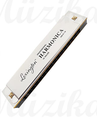 Lexington 16 Delikli Mızıka Professional Harmonica 