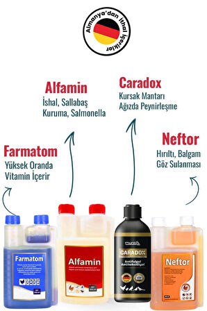 Munich Vet 4lü Set Caradox Kursak Mantarı + Farmatom Vitamin + Alfamin + Neftor Hırıltı Seti - 500 Ml