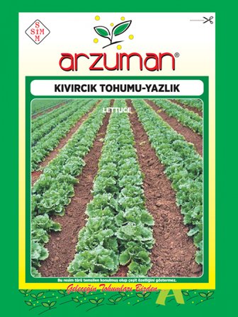 Arzuman Kıvırcık Marul Tohumu - Yazlık ( 7.000 Adet Tohum)