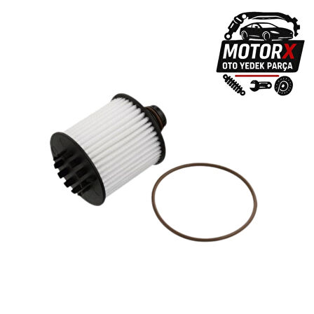 RANDERS YAĞ FİLİTRESİ EURO 6 FIAT DOBLO FIORINA EGEA 6000626025 RX025T