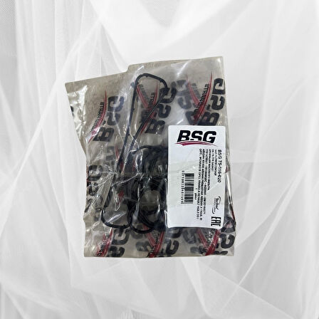 BSG YAĞ FİLTRE CONTA TAKIMI MASTER MOVANO III 2.3 DCİ CDTI 10 TRAFIC VİVARO II 2.0 DCİ CDTI KALEOS 4×4 7701478541