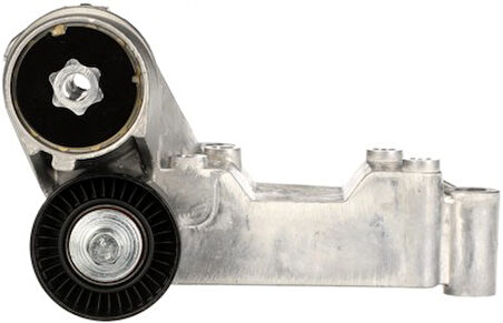 Cautex Alternatör Gergi Rulmanı Kütüklü Focus 1 Tourneo / Transit Connect 1,8 Tdci 1069359