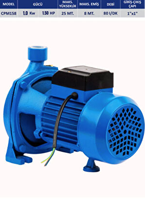 1.5 Hp - 1.0 Kw Alman Tasarımı Mavi Elektrikli Bahçe Pompası Su Pompası Cpm 158