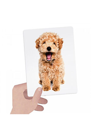 Tactile Montessori Mu23738