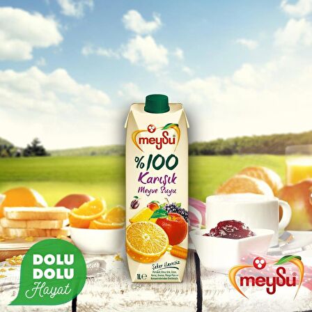 Meysu %100 Karışık Meyve Suyu 1 Lt 