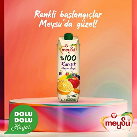 Meysu %100 Karışık Meyve Suyu 1 Lt 