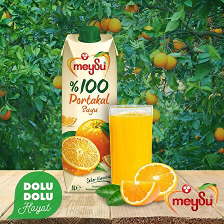 Meysu %100 Portakal Suyu 1 Lt 