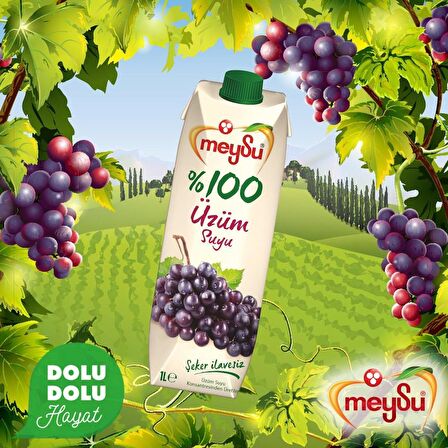 Meysu %100 Üzüm Suyu 1 Lt  