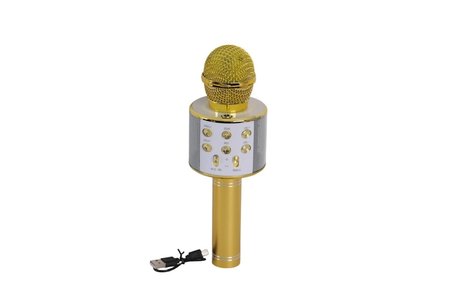 Mey İthalat EMR-101 KUTULU KARAOKE MİKROFON
