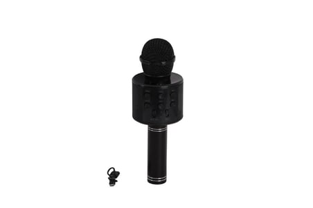 Mey İthalat EMR-101 KUTULU KARAOKE MİKROFON