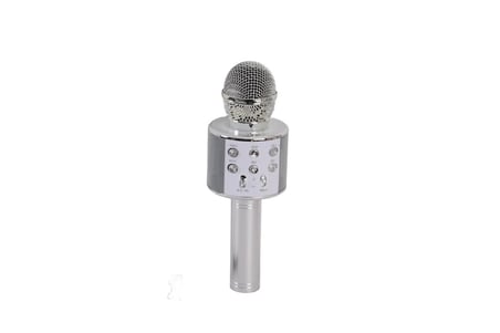 Mey İthalat EMR-101 KUTULU KARAOKE MİKROFON