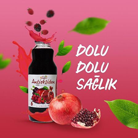 Meysu Antioksidan %100 Karışık Meyve Suyu 1 Lt 