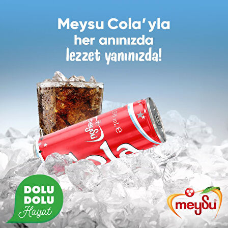 Meysu Kola 330 Ml X 24 Adet