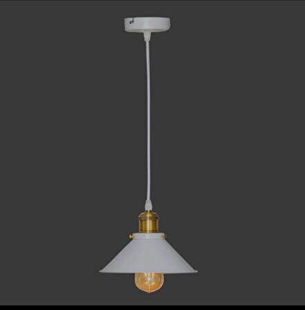 MYLİGHTS ETRO RUSTİK  MAT BEYAZ TEKLİ SARKIT AVİZE EN  22 CM