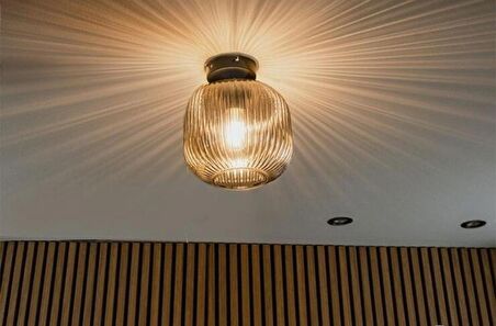 MYLİGHTS RUSTİK  BAL PLOFONYER TAVAN AVİZE AVİZE 20CM  RUSTİK VİNTAGE  