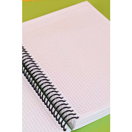 Npratik Tokaç My Lesson Plastik Kapak A4 7+3 250 Yaprak Spiralli 10 Bölmeli Ayraçlı Kareli Çizgili Defter