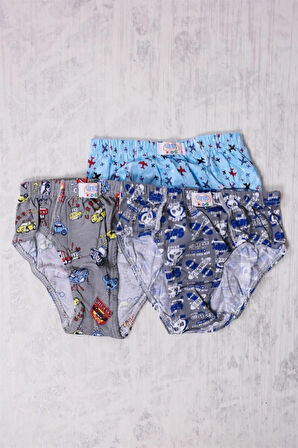 Gümüş Marka Erkek Çocuk Çok Renkli 3'lü Külot