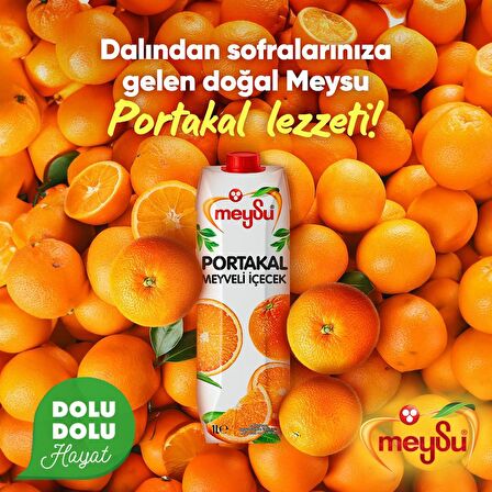 Meysu Portakal Nektarı 1 Lt  