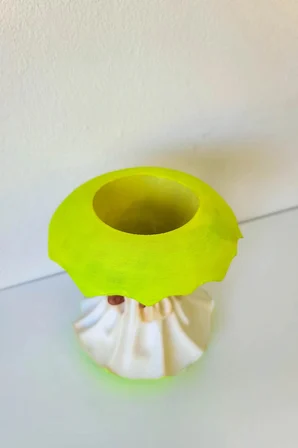 Dekoratif Elma Koçanı Tasarım Vazo - El Boyaması Kuru Çiçek Vazosu - Bioplastik