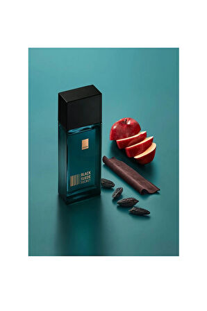Black Suede Secret Erkek Parfüm EDT 100 ml