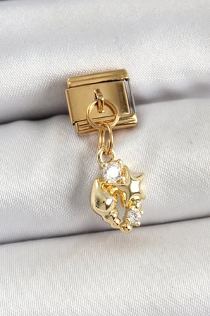 316L Çelik Sallantılı Zirkon Taşlı Deniz Kabuğu Ve Yıldız Model Gold Renk No