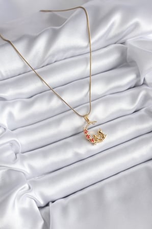 316L Çelik Gold Renk Hilal Kedi Model Zirkon Taşlı Detay Kadın Kolye 5886