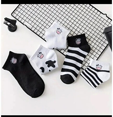 5 ÇİFT İNEK DESENLİ PATİK SPOR AYAKKABI ÇORABI