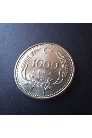 1993 tc 1000 lira ÇİL eski madeni para