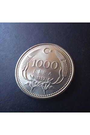 1993 tc 1000 lira ÇİL eski madeni para