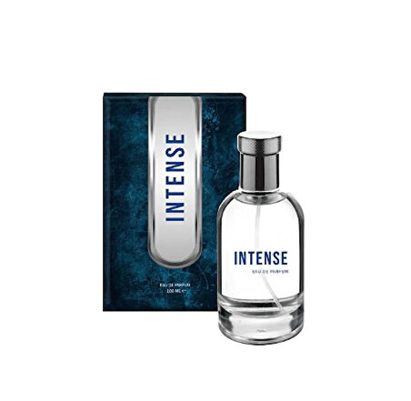 Colyen Intense 100 ml Erkek EDP Parfüm