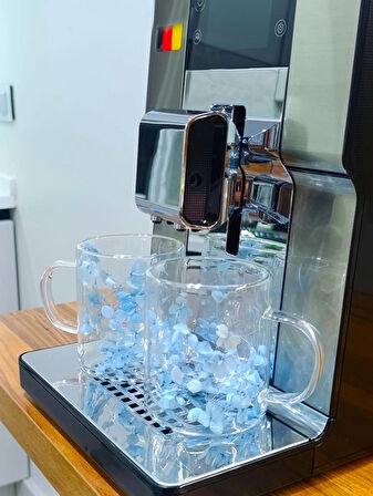 2 Adet Çift Cidarlı Çiçekli Kupa – Isıya Dayanıklı Cam Çay & Kahve Kupası Şık Tasarım 300 ml