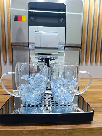 2 Adet Gerçekçi Çiçek Tasarım Çift Cidarlı Cam Kupa, Sıcak ve Soğuk İçecek Bardağı 350 ml