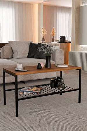Metal Ayaklı Orta Sehpa,Modern Salon Sehpası, Dekoratif Çay Kahve Sehpası, Alt Raflı Çok Amaçlı Masa