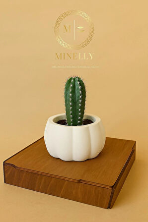 Minelly Pumpkin Touch Saksı