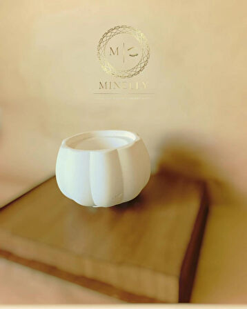 Minelly Pumpkin Touch Saksı