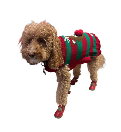 Miniş Kırmızı Xmas Deer Küçük Köpek Kazağı