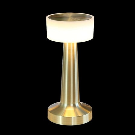 Dekoratif Led Masa Lambası MZ-701 Salon Lambası Stil Sahibi Lamba