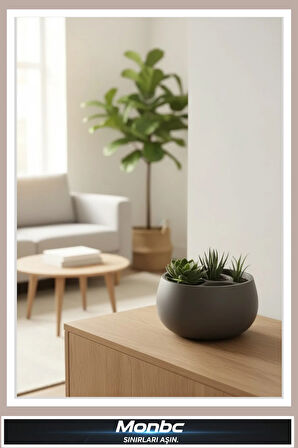 Monbc Modgrow Çok Bölmeli Akıllı Saksı 3D Tasarım Dekoratif Biblo, Hediyelik ve Ev Ofis İçin Şık Aksesuar