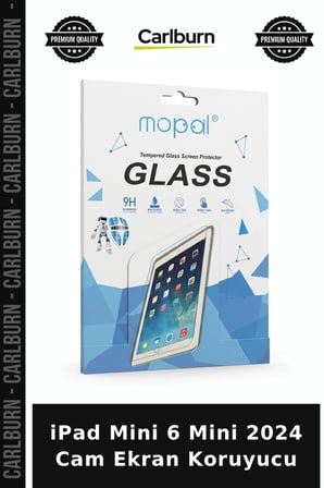 iPad Mini 6 Mini 2024 Cam Ekran Koruyucu Cihaz Camı Tablet Zırhı Yüzey Koruma