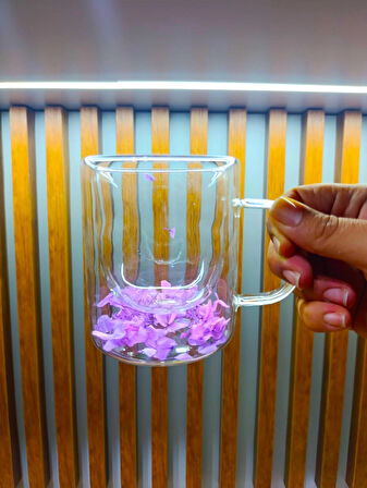 2 Adet Çift Cidarlı Çiçekli Kupa – Isıya Dayanıklı Cam Çay & Kahve Kupası Şık Tasarım 300 ml