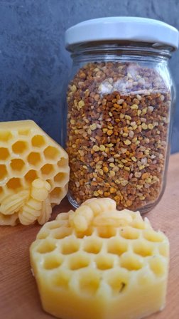 MuÇa Arı Poleni 100 gr