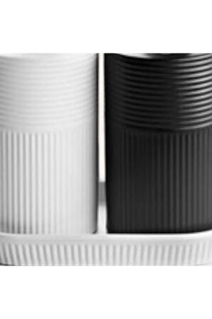 2li Lüks Stoneware Siyah Beyaz İskandinav Taş Mutfak Sıvı Sabunluk Standlı Bulaşık Deterjanlık