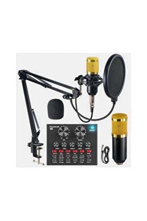 Music D.J M-800VT Profesyonel Mikrofon Seti Studio Kayıt Paketi (Ses Kartı Dahildir)