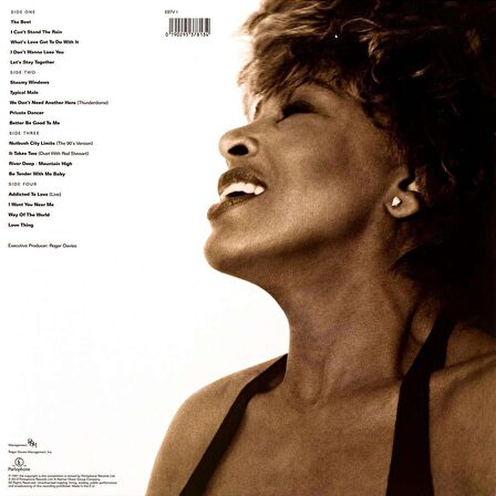 Yabancı Plak - Tina Turner / Simply The Best (2lp