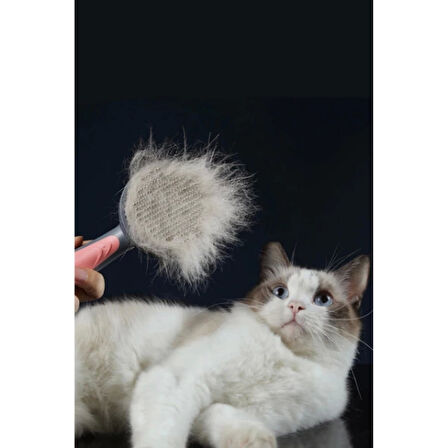 Otomatik Tuşlu Kendini Temizleyen Kedi Köpek Tarağı