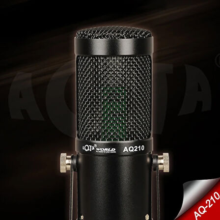 AQ210 Condenser Stüdyo Profesyonel Kayıt ve Yayın Mikrofonu Studio-(5775)