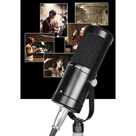 AQ210 Condenser Stüdyo Profesyonel Kayıt ve Yayın Mikrofonu Studio-(5775)