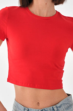 ALEXANDERGARDI Kısa Kollu Crop T-shirt