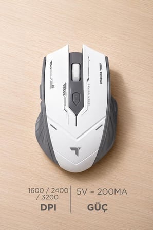 Özel Seri Bilgisayar Aksesuarı Ekipman Mouse Çift Modlu Sessiz Kablosuz TM20