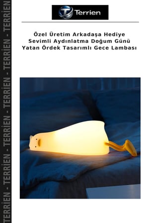 Özel Üretim Arkadaşa Hediye Sevimli Aydınlatma Doğum Günü Yatan Ördek Tasarımlı Gece Lambası
